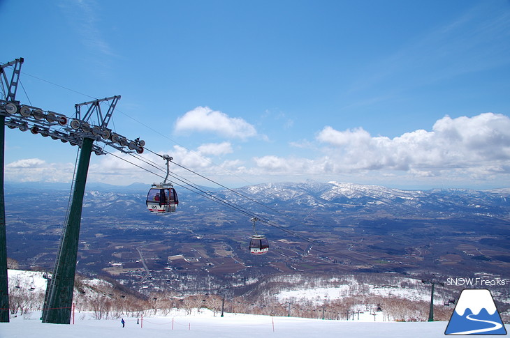 ニセコアンヌプリ国際スキー場 beautiful spring day!!